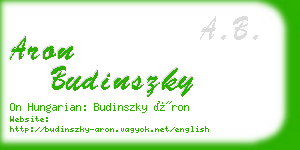 aron budinszky business card
